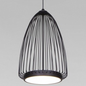 Подвесной светильник Eurosvet Comodita 40009/1 LED черный в Агрызе - agryz.ok-mebel.com | фото
