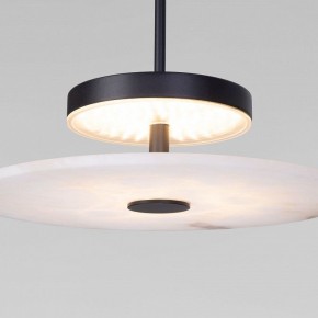 Подвесной светильник Eurosvet Thasos 40342 LED черный в Агрызе - agryz.ok-mebel.com | фото 7