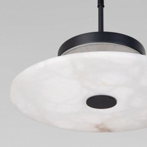 Подвесной светильник Eurosvet Thasos 40342 LED черный в Агрызе - agryz.ok-mebel.com | фото 8