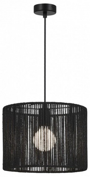 Подвесной светильник EVOLUCE ETTAN SLE6024-403-01 в Агрызе - agryz.ok-mebel.com | фото 2