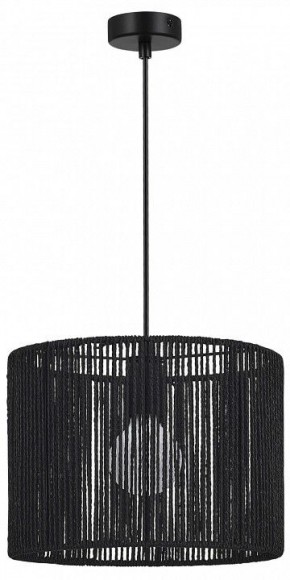 Подвесной светильник EVOLUCE ETTAN SLE6024-403-01 в Агрызе - agryz.ok-mebel.com | фото 4
