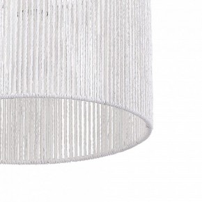 Подвесной светильник EVOLUCE ETTAN SLE6024-503-01 в Агрызе - agryz.ok-mebel.com | фото 8