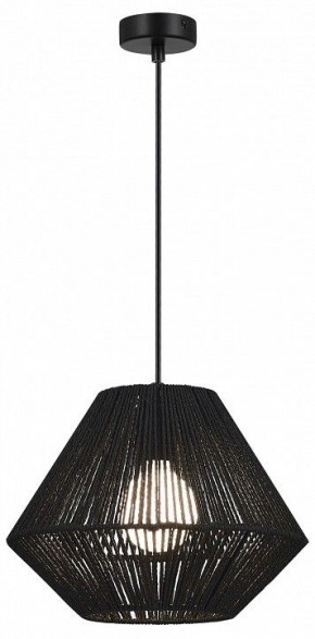 Подвесной светильник EVOLUCE ETTAN SLE6025-403-01 в Агрызе - agryz.ok-mebel.com | фото 2