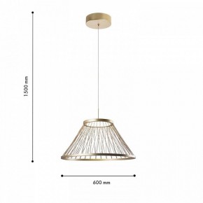 Подвесной светильник Favourite Fibra 4634-6P в Агрызе - agryz.ok-mebel.com | фото 4