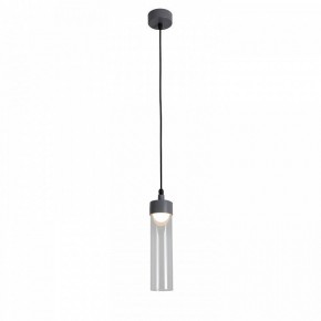 Подвесной светильник Favourite Outdoor 4703-1P в Агрызе - agryz.ok-mebel.com | фото 3
