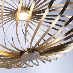 Подвесной светильник Favourite Spring 4680-1P в Агрызе - agryz.ok-mebel.com | фото 5