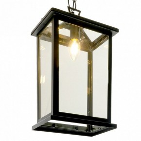 Подвесной светильник Feron PL755 51281 в Агрызе - agryz.ok-mebel.com | фото 4