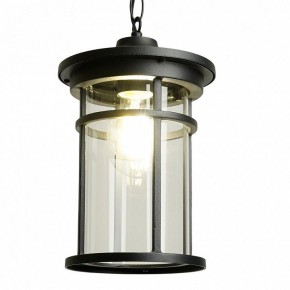 Подвесной светильник Feron PL765 51819 в Агрызе - agryz.ok-mebel.com | фото 3