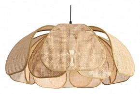 Подвесной светильник Freya Cocoon FR5529PL-01B в Агрызе - agryz.ok-mebel.com | фото