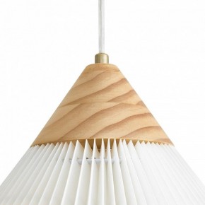 Подвесной светильник Freya Kinsley FR5533PL-01BS в Агрызе - agryz.ok-mebel.com | фото 8