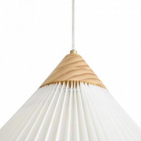 Подвесной светильник Freya Kinsley FR5533PL-01BS1 в Агрызе - agryz.ok-mebel.com | фото 8