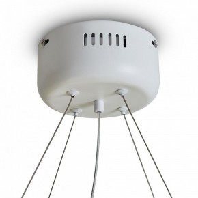 Подвесной светильник Freya Rain FR5546PL-L60W в Агрызе - agryz.ok-mebel.com | фото 9