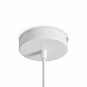 Подвесной светильник Freya Shapes FR5530PL-L10W в Агрызе - agryz.ok-mebel.com | фото 5