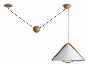 Подвесной светильник Freya Umbra FR5554CL-01T в Агрызе - agryz.ok-mebel.com | фото