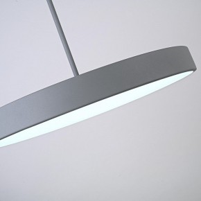 Подвесной светильник Imperiumloft TURNA Gray TURNA-ONE01 в Агрызе - agryz.ok-mebel.com | фото 9