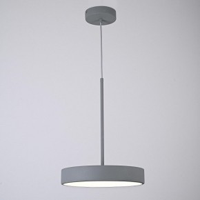 Подвесной светильник Imperiumloft TURNA Gray TURNA-ONE01 в Агрызе - agryz.ok-mebel.com | фото 5