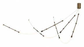 Подвесной светильник Indigo Corda 14010/3P Brass в Агрызе - agryz.ok-mebel.com | фото 3