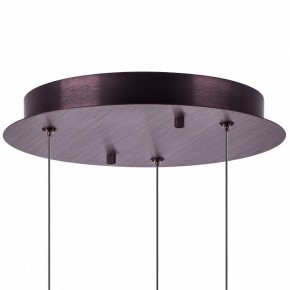 Подвесной светильник Lightstar Caramello 796139 в Агрызе - agryz.ok-mebel.com | фото 13