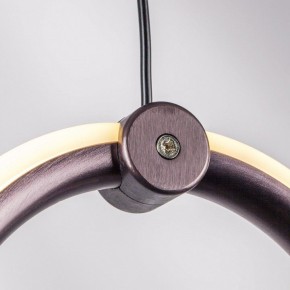 Подвесной светильник Lightstar Caramello 796139 в Агрызе - agryz.ok-mebel.com | фото 5