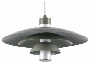 Подвесной светильник Lightstar Erbareo 799019 в Агрызе - agryz.ok-mebel.com | фото