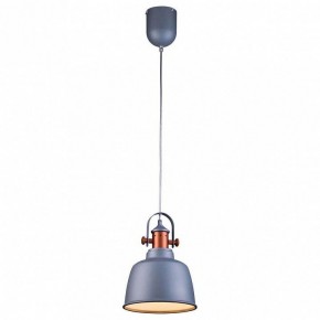 Подвесной светильник Lucia Tucci Industrial INDUSTRIAL 1820.1 SAND SILVER в Агрызе - agryz.ok-mebel.com | фото 2