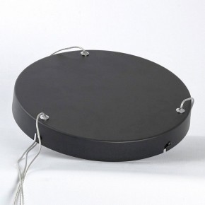 Подвесной светильник Lussole HARDIN LSP-7427 в Агрызе - agryz.ok-mebel.com | фото 4