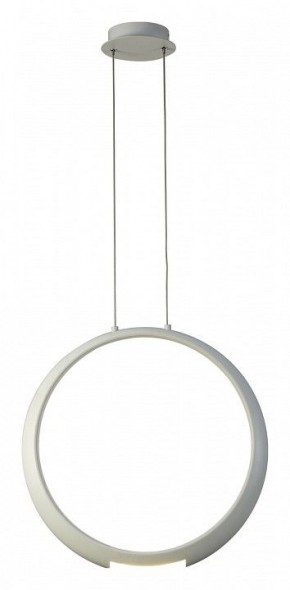 Подвесной светильник Mantra Ring 6170 в Агрызе - agryz.ok-mebel.com | фото 2