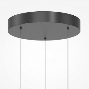 Подвесной светильник Maytoni Misterio MOD379PL-L17B3K в Агрызе - agryz.ok-mebel.com | фото 9