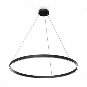 Подвесной светильник Maytoni Rim MOD058PL-L54BK в Агрызе - agryz.ok-mebel.com | фото 3