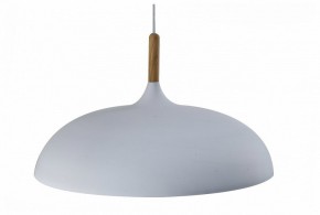 Подвесной светильник Moderli Hygo V11447-1P в Агрызе - agryz.ok-mebel.com | фото
