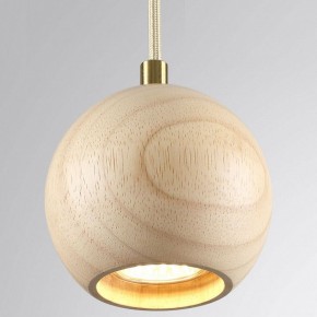 Подвесной светильник Odeon Light Caucho 7061/1 в Агрызе - agryz.ok-mebel.com | фото 2