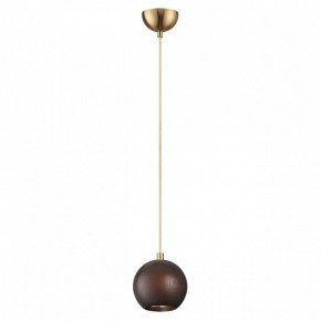 Подвесной светильник Odeon Light Caucho 7062/1 в Агрызе - agryz.ok-mebel.com | фото 4