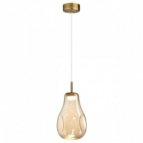 Подвесной светильник Odeon Light Nave 5098/4L в Агрызе - agryz.ok-mebel.com | фото 2