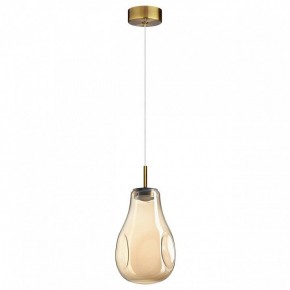Подвесной светильник Odeon Light Nave 5098/4L в Агрызе - agryz.ok-mebel.com | фото 4