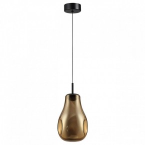 Подвесной светильник Odeon Light Nave 5098/4LA в Агрызе - agryz.ok-mebel.com | фото 4
