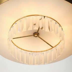 Подвесной светильник Rivoli Vickie Б0061902 в Агрызе - agryz.ok-mebel.com | фото 11