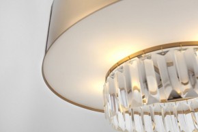 Подвесной светильник Rivoli Vickie Б0061902 в Агрызе - agryz.ok-mebel.com | фото 14