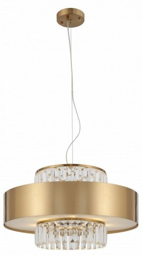 Подвесной светильник Rivoli Vickie Б0061902 в Агрызе - agryz.ok-mebel.com | фото 5