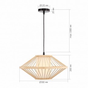 Подвесной светильник ST-Luce ALMA SL6241.533.01 в Агрызе - agryz.ok-mebel.com | фото 5