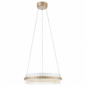 Подвесной светильник ST-Luce Cherio SL383.203.01 в Агрызе - agryz.ok-mebel.com | фото 3