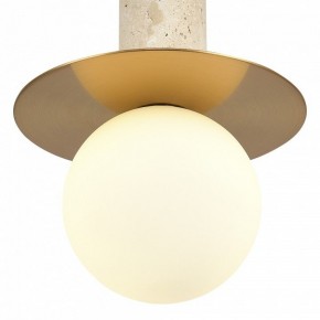 Подвесной светильник ST-Luce Earthy SL1194.303.01 в Агрызе - agryz.ok-mebel.com | фото 5