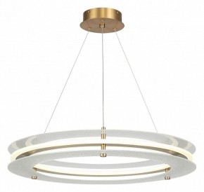 Подвесной светильник ST-Luce FAGY SL6245.203.01 в Агрызе - agryz.ok-mebel.com | фото 2