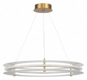 Подвесной светильник ST-Luce FAGY SL6245.203.01 в Агрызе - agryz.ok-mebel.com | фото 3