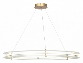 Подвесной светильник ST-Luce FAGY SL6245.213.01 в Агрызе - agryz.ok-mebel.com | фото 2
