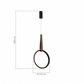 Подвесной светильник ST-Luce Shape SL6131.403.12 в Агрызе - agryz.ok-mebel.com | фото 4