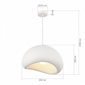 Подвесной светильник ST-Luce WABI SABI SL1522.513.01 в Агрызе - agryz.ok-mebel.com | фото 5