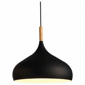 Подвесной светильник TopDecor Molto Molto S1 12 в Агрызе - agryz.ok-mebel.com | фото