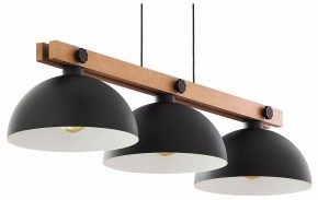 Подвесной светильник TopLight Marion TL1625H-03BK в Агрызе - agryz.ok-mebel.com | фото