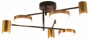 Потолочная люстра Kink Light Рапис 07645-6D,19(20) в Агрызе - agryz.ok-mebel.com | фото