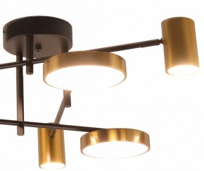 Потолочная люстра Kink Light Рапис 07645-6D,19(20) в Агрызе - agryz.ok-mebel.com | фото 2